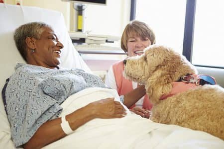 hospitalized-woman-receiving-dog-therapy