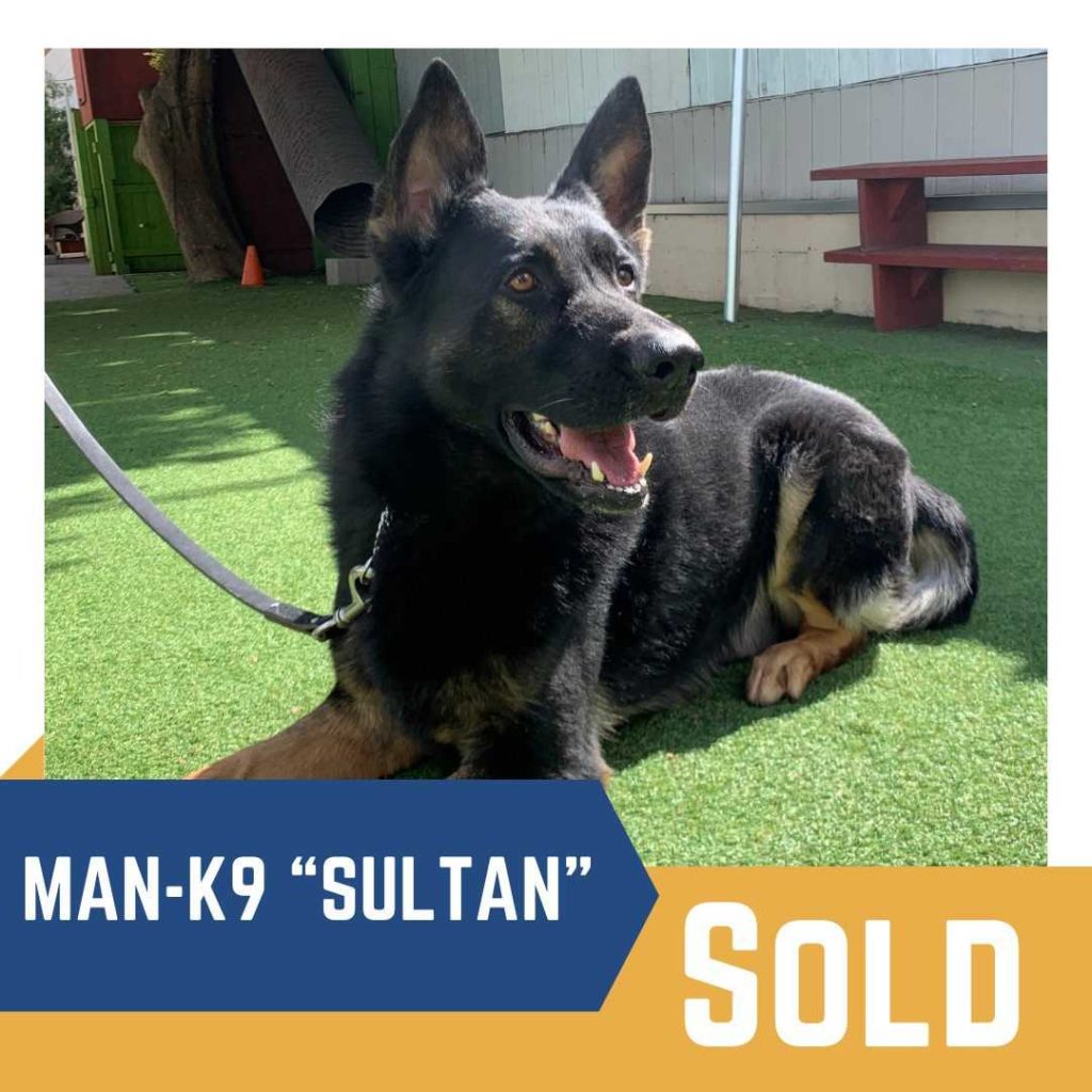 A black and tan german shepherd dog named sultan, marked as "sold" by a training center.