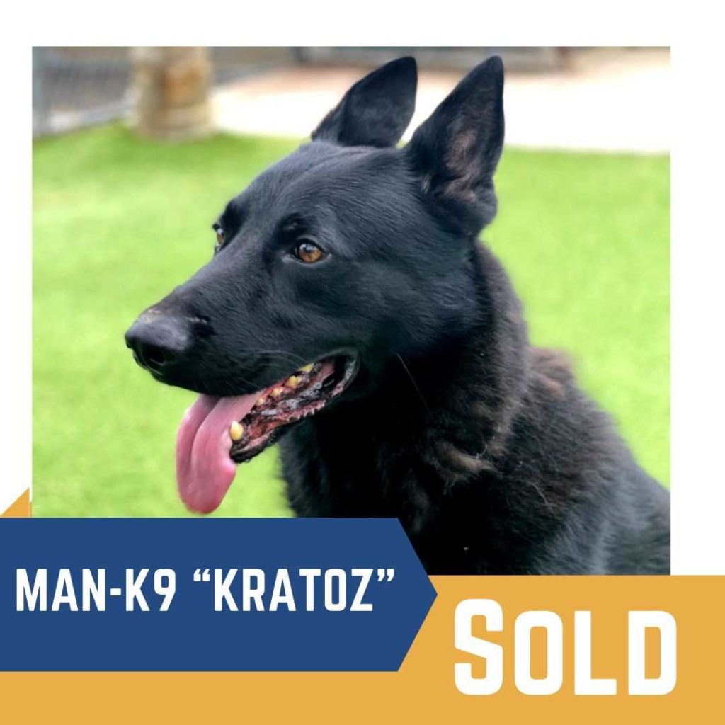 Black dog named "kratoz" marked as sold by a canine service.