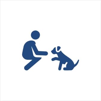 Icon of a person kneeling and interacting with a dog.