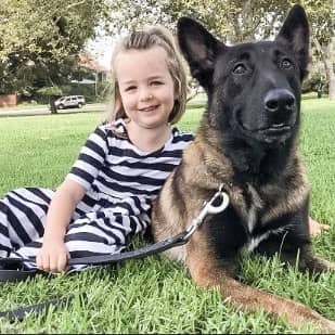 young girl sitting beside German shepherd dog on the grass
