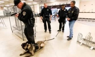 Law enforcement officers with a police dog conducting a training exercise or demonstration indoors.