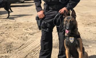 Lrg-man-k9-police-officer-with-sitting-trained-police-k9