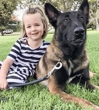 A young girl and a german shepherd dog sitting together on grass.
