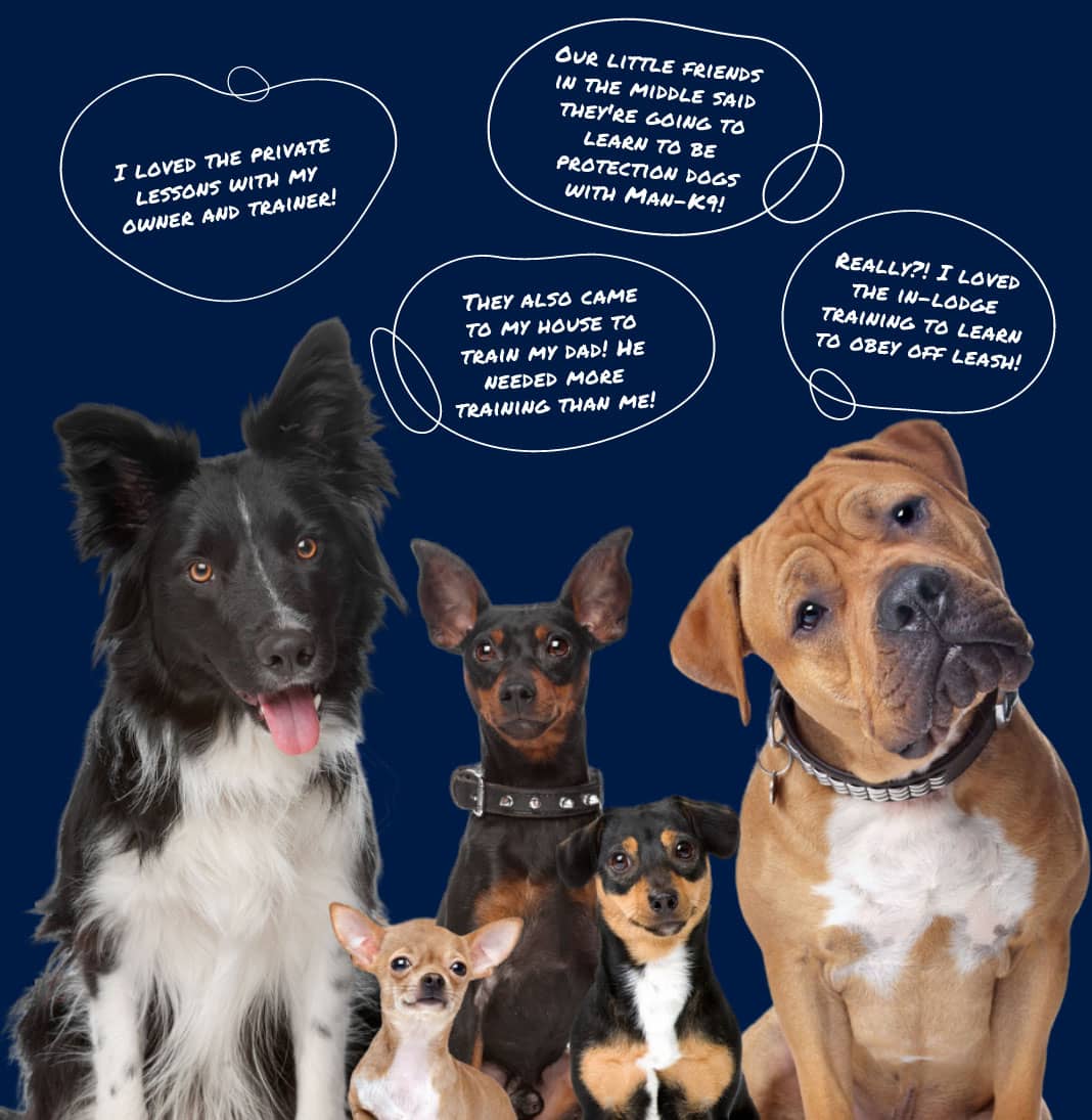 A group of dogs with thought bubbles above their heads talking about dog training.