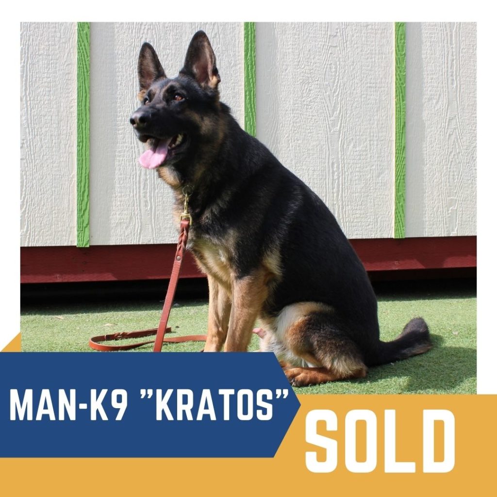 Trained Dogs for Sale Family and Companion Dogs