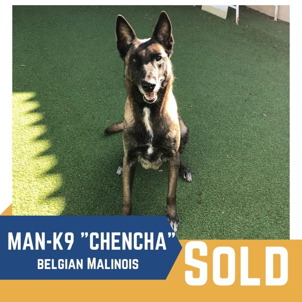 Protection Dogs and Guard Dogs for Sale San Diego CA