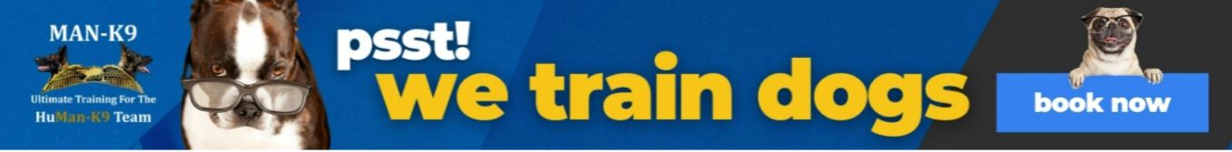 psst we train dogs banner