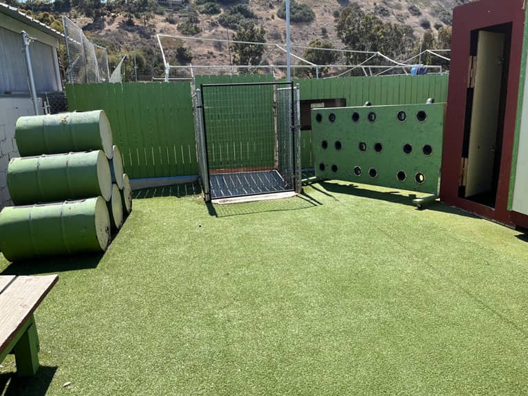 Outdoor-dog-training-facility-in-San-Diego-scaled