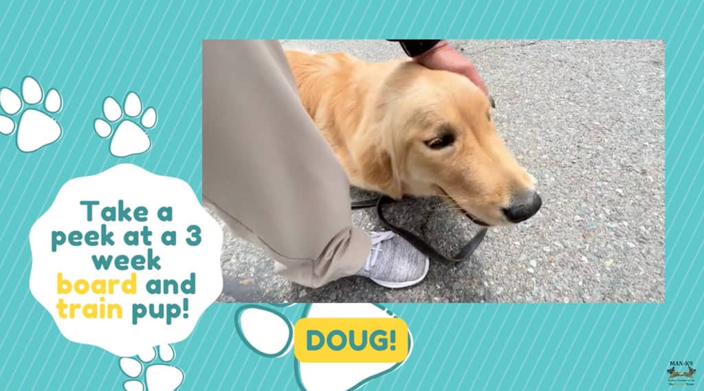 San Diego Dog Training Obedience & Puppy Training Near Me