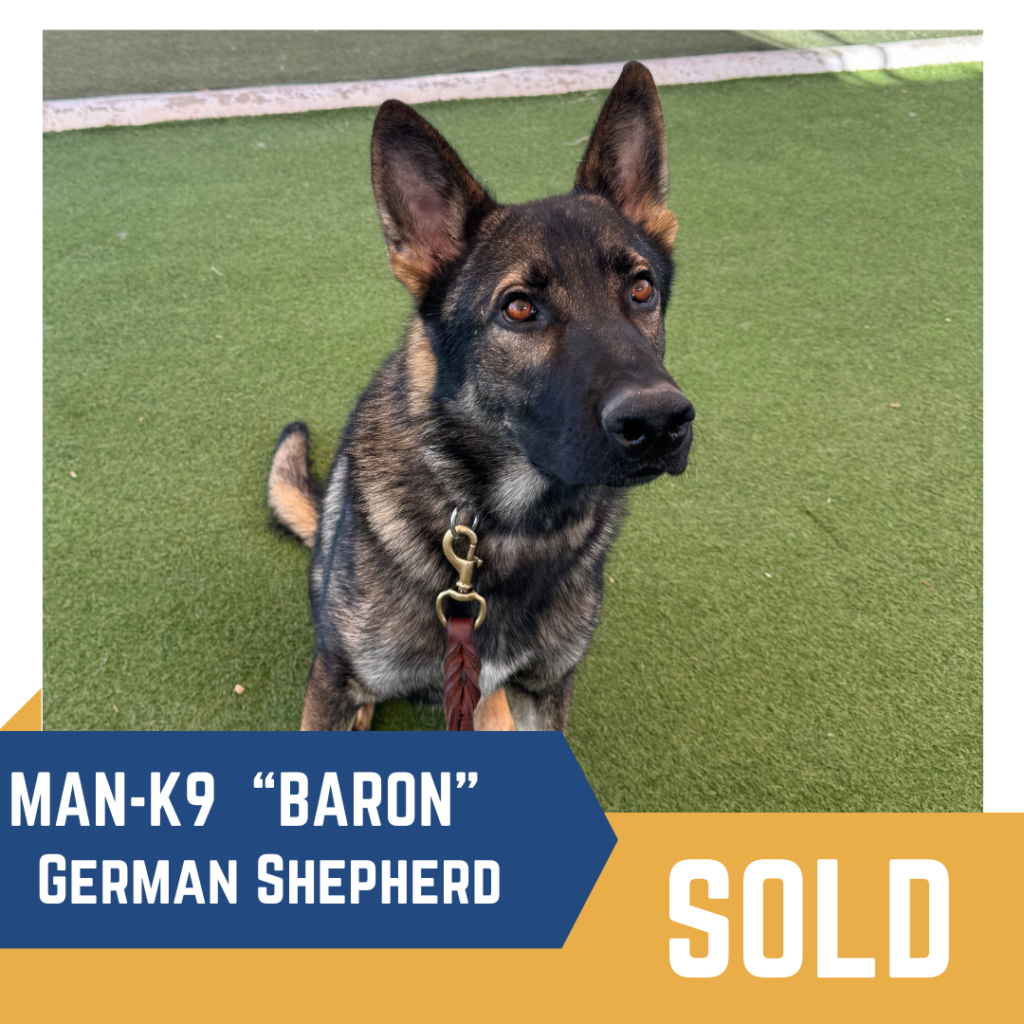 German shepherd emotional support dog hot sale for sale