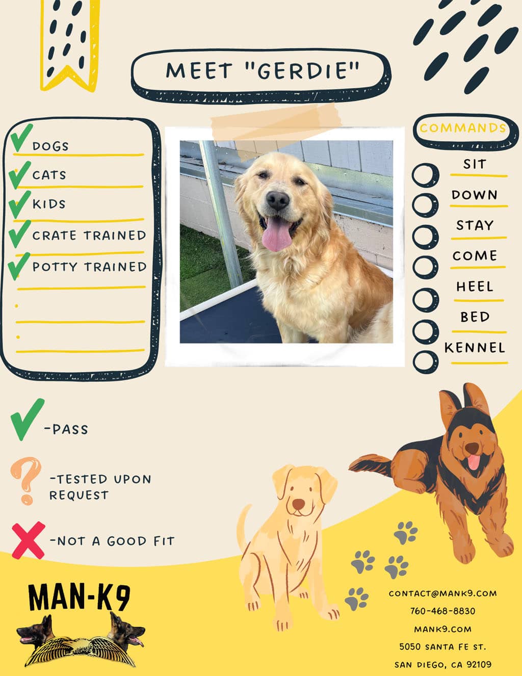 Poster advertising a trained golden retriever named "gerdie" available for adoption, detailing her traits and contact information for man-k9.