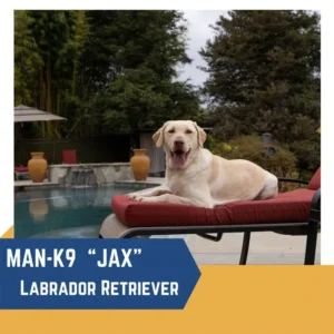 A Labrador Retriever named Jax lies on a poolside lounge chair, with a backdrop of trees and bamboo.