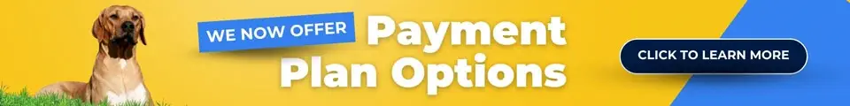 Banner with a dog, text "We Now Offer Payment Plan Options" on a yellow background, and a "Click to Learn More" button on the right.