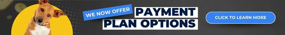 Banner promoting payment plan options with a dog on the left, text reading "We now offer payment plan options" in bold fonts, and a button on the right labeled "Click to learn more.