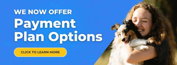 Banner with "We Now Offer Payment Plan Options" text on a blue background, a yellow "Click to Learn More" button, and a smiling person holding a dog on the right side.