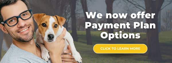 A man holding a small dog smiles at the camera. Text on the right says, "We now offer Payment Plan Options" with a yellow button below that reads, "Click to learn more." The background is a park scene.