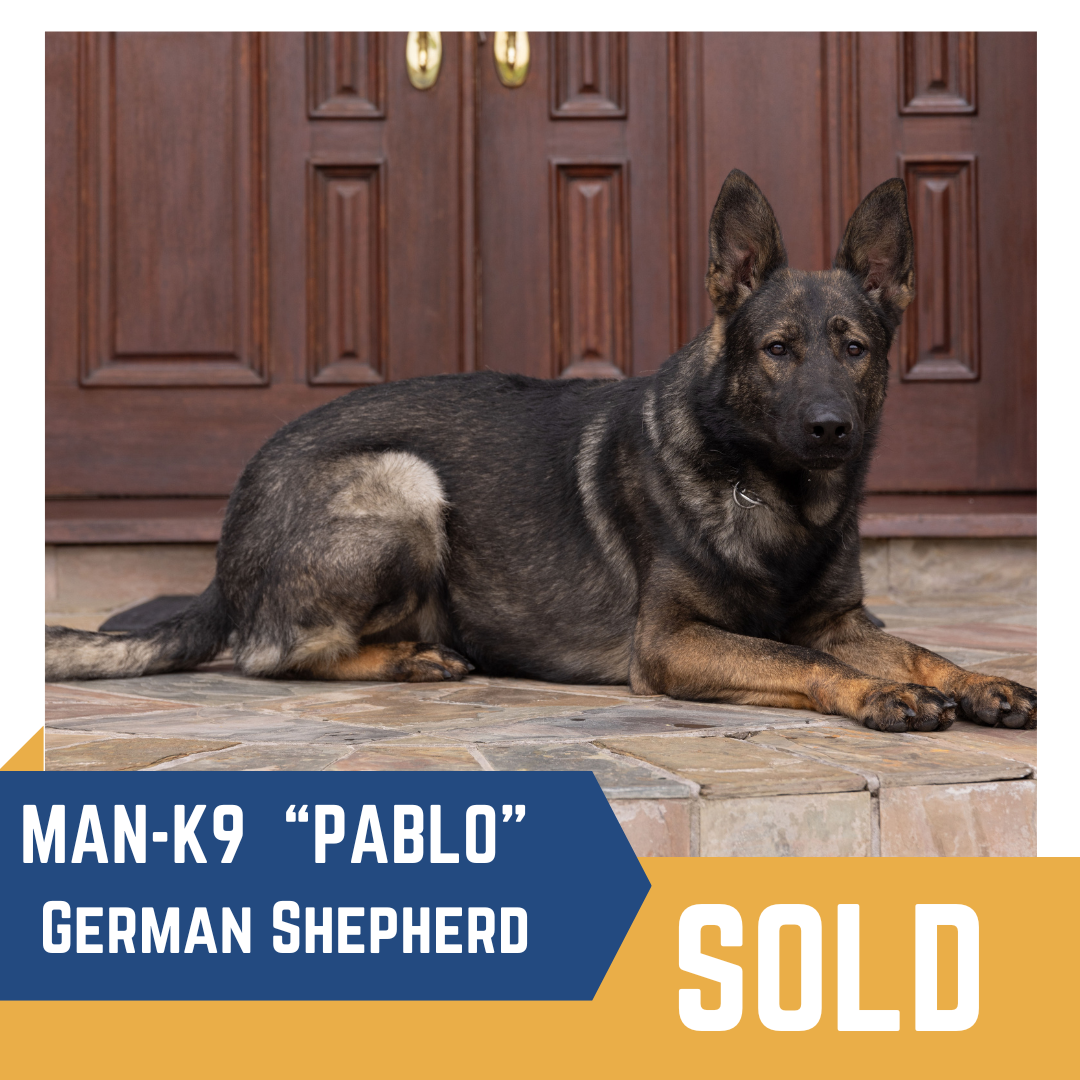 A German Shepherd labeled "Pablo" from MAN-K9 lies on a stone porch. The image includes a "SOLD" banner.