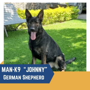 A German Shepherd named "Johnny" from the Man-K9 unit is sitting on grass in an outdoor area.