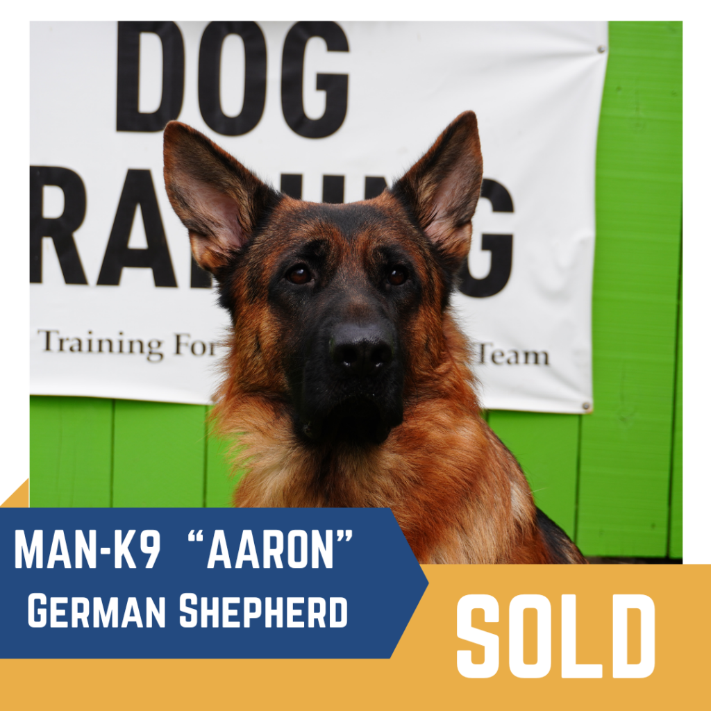 A German Shepherd named "Aaron" is featured in front of a sign with a "Sold" label.