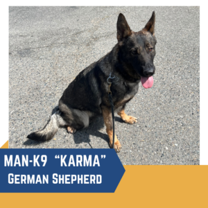 A German Shepherd named Karma sits on a paved surface, looking forward with its tongue out.