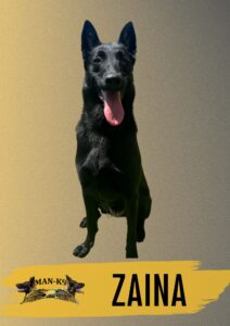 A black dog sits facing forward with its mouth open and tongue out. The name "Zaina" and a "MAN-K9" logo appear at the bottom of the image.