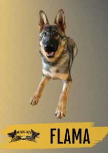 A German Shepherd dog, mid-jump, on a gradient background with the name "FLAMA" and the "MAN-K9" logo at the bottom.