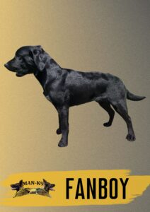 A black dog stands in profile against a gradient background with the text "MAN-K9 FANBOY" displayed below.